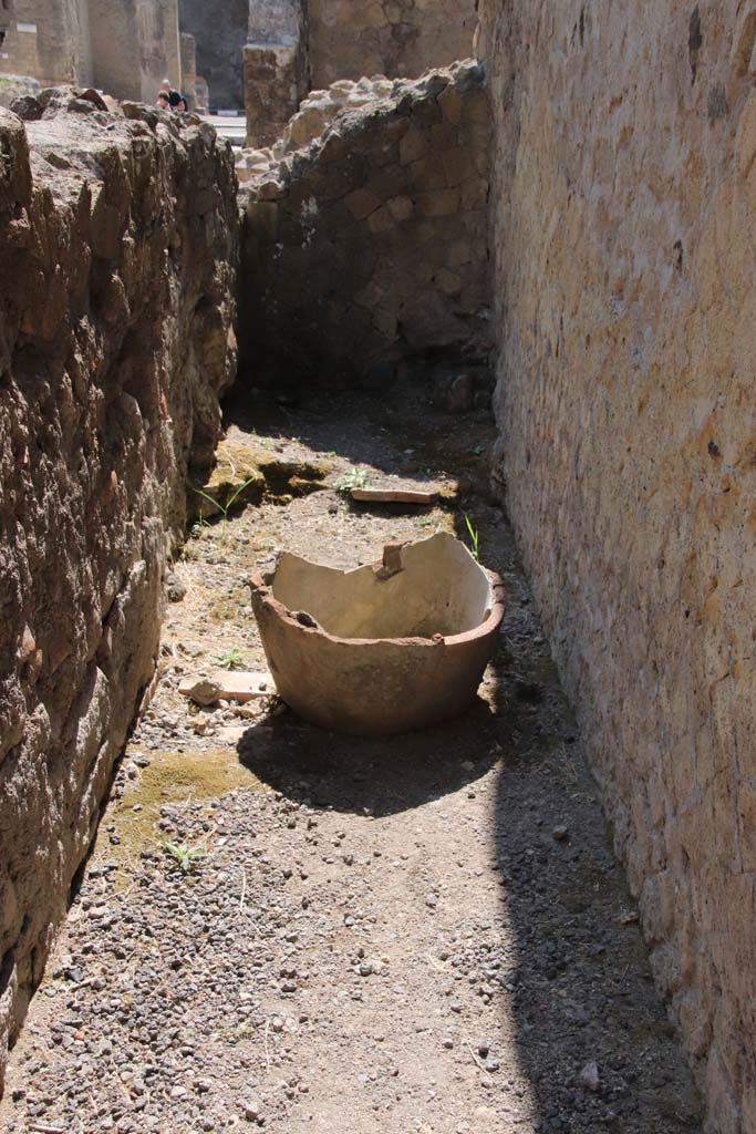 IV.11, Herculaneum, September 2021.
Small area on north side of triclinium/oecus, corridor leading to latrine. Photo courtesy of Klaus Heese.